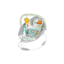 Shop All|Bright Starts Whimsical Wild Cradling Bouncer - cutbabycare.com | baby boutique & care hub