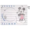 Shop All|Crown Crafts - Disney Mickey Mouse Milestone Blanket - cutbabycare.com | baby boutique & care hub