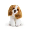 Shop All|DEMDACO - Cavalier King Charles Beanbag - cutbabycare.com | baby boutique & care hub