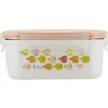 Shop All|Innobaby Keepin' Fresh Stainless Steel Bento Lunch Box/Food Container, Orange/Fish - cutbabycare.com | baby boutique & care hub
