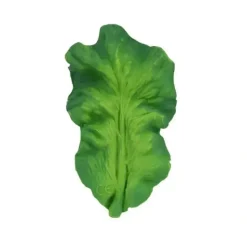Oli & Carol - Chewable Toy, Kendall The Kale - cutbabycare.com | baby boutique & care hub* Fashion