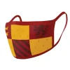 Shop All|2pc Wizarding World Harry Potter Gryffindor House Reusable Mask/Face Covering - cutbabycare.com | baby boutique & care hub