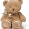 Spin Master - My 1st Teddy Bear Stuffed Animal Plush, 10 - cutbabycare.com | baby boutique & care hub* Online