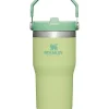 Stanley - 20Oz IceFlow Stainless Steel Tumbler with Straw, Citron - cutbabycare.com | baby boutique & care hub* Store