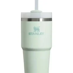 Stanley - 20Oz Quencher H2.0 FlowState Stainless Steel Vacuum Insulated Tumbler, Mist - cutbabycare.com | baby boutique & care hub* Outlet