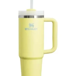 Stanley - Quencher H2.0 FlowState Stainless Steel Vacuum Insulated Tumbler, 30 oz, Pomelo - cutbabycare.com | baby boutique & care hub* Clearance