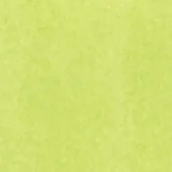 The Gift Wrap Company Lime Tissue, 12-Pack - cutbabycare.com | baby boutique & care hub* Shop