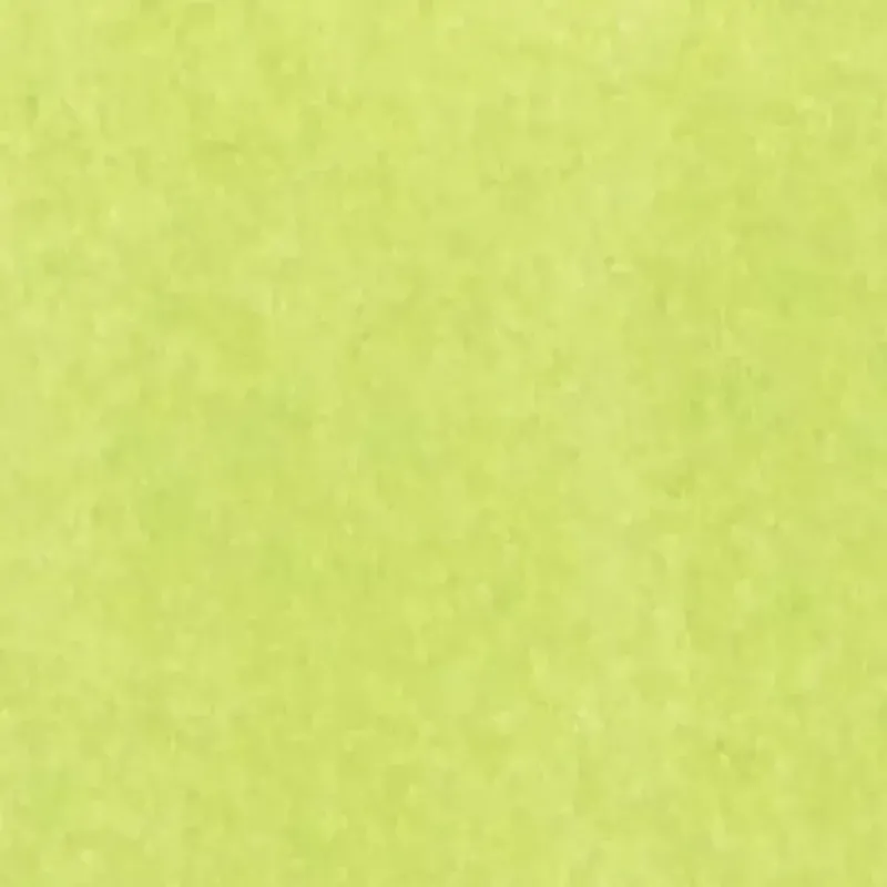 The Gift Wrap Company Lime Tissue, 12-Pack - cutbabycare.com | baby boutique & care hub* Shop